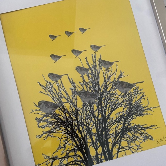 Set of three prints Canadian Sparrow IV V and VI - Picture 4 of 6